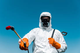 Best Emergency Pest Control  in Rancho San Diego, CA